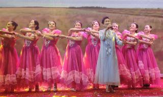 深圳流浪狗驿站 深圳流浪狗驿站