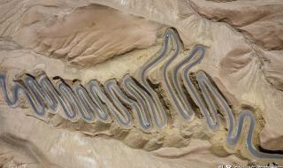 从今以后你会是所有 从今以后你会是所有