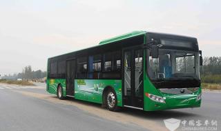 宇通公交车 宇通公交车