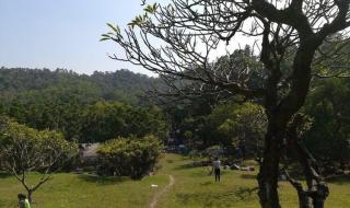 2019年大夫山森林公园要门票吗 大夫山森林公园门票