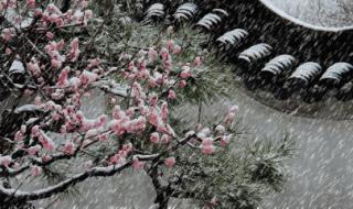 哪首古诗描写小雪时节的景象 小雪最美古诗句子