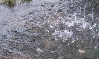 广东冷空气5日到货