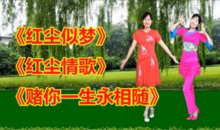 有什么好听的dj歌曲