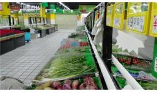 蔬菜喷雾加湿器 蔬菜喷雾加湿器