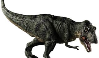 霸王龙怕不怕镰刀龙