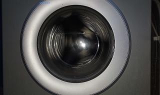 小天鹅衣诺 小天鹅衣诺