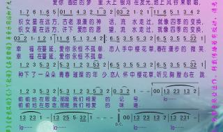 樱花草简谱 樱花草简谱