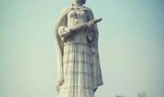 奢香夫人广场舞 奢香夫人广场舞