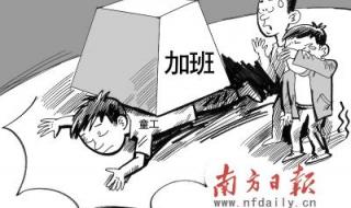 一个宿舍四款身份证 一个宿舍四款身份证