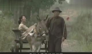 【我的兄弟叫顺溜】里面陈大雷和翰林的扮演者是谁 我的兄弟叫顺溜荷花