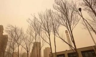 2024年大年初一天气