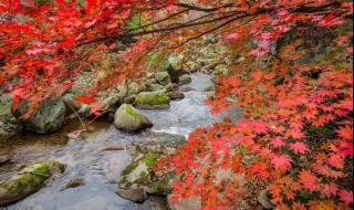 重庆万盛黑山谷