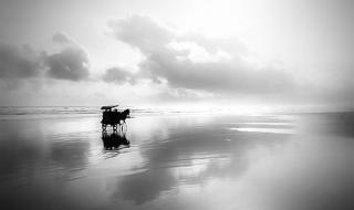 五味杂陈的电车行 五味杂陈的电车行