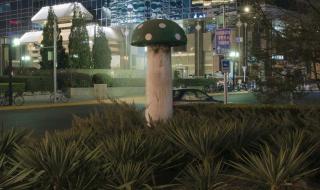 北京街头现2米高蘑菇