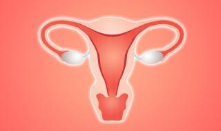 女士附件炎什么症状 附件炎的症状有哪些