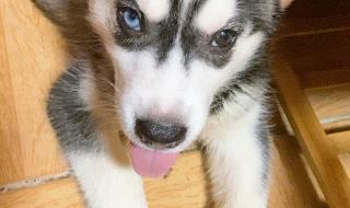 真实人的阴阳眼图片