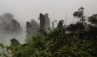 张家界要几天合适 张家界要几天合适