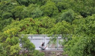 浙江玻璃栈道挤爆