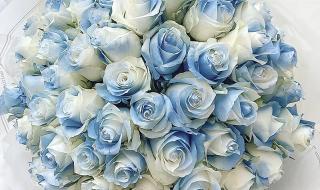 碎冰蓝可以送闺蜜吗 碎冰蓝适合送什么人