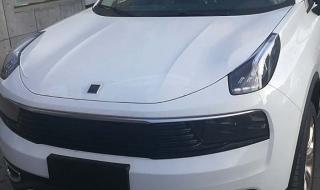 陈乃荣召唤兽的歌词 我愿做你的召唤兽