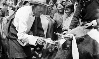 求歌词：翻身农奴把歌唱才旦卓玛 舞蹈翻身农奴把歌唱