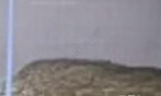 官方回应化粪池爆炸 官方回应化粪池爆炸