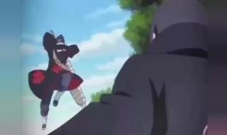 鼬vs大蛇丸第几集 鼬vs大蛇丸第几集