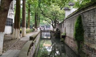 烟火人间在线播放 烟火人间在线播放